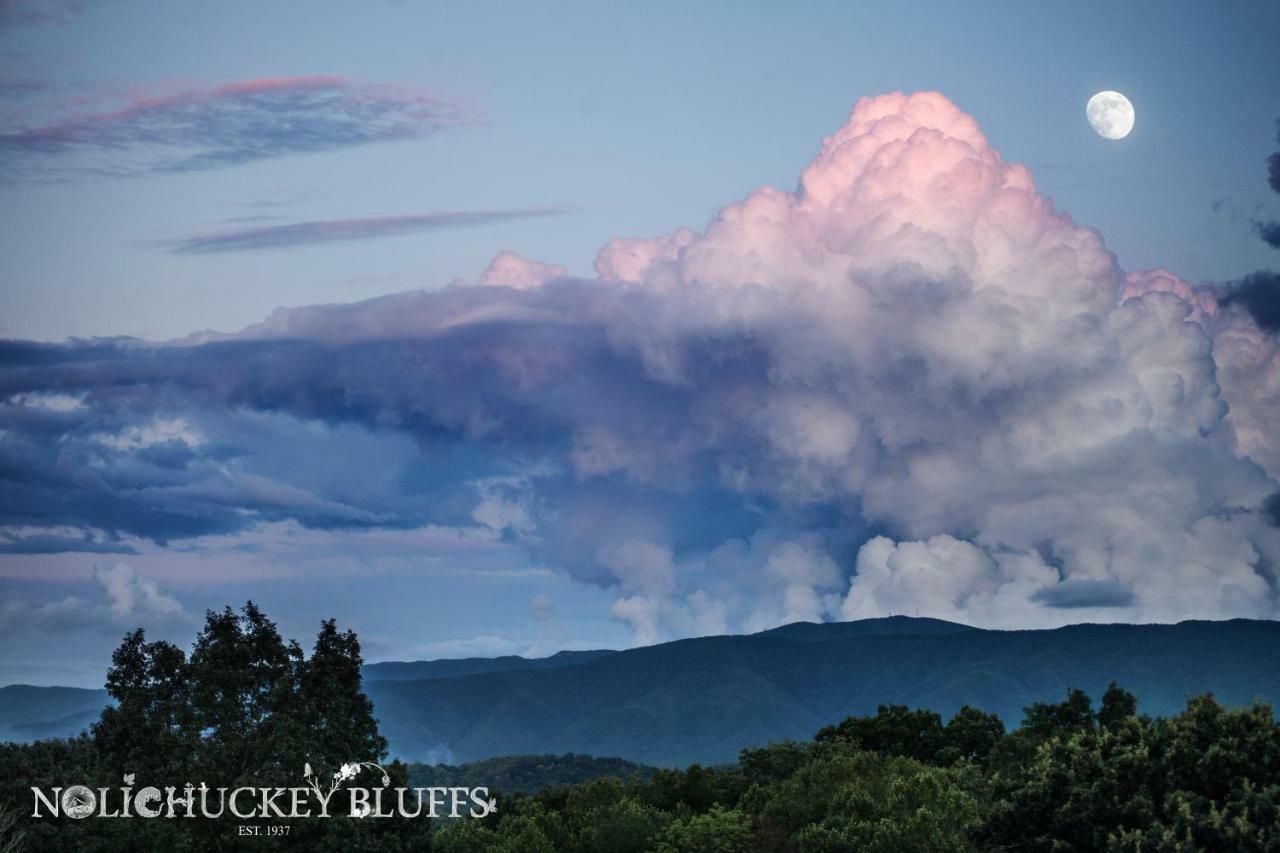 Nolichuckey Bluffs Bed & Breakfast Cabins グリーンビル  エクステリア 写真