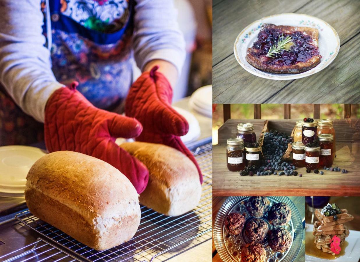 Nolichuckey Bluffs Bed & Breakfast Cabins グリーンビル  エクステリア 写真