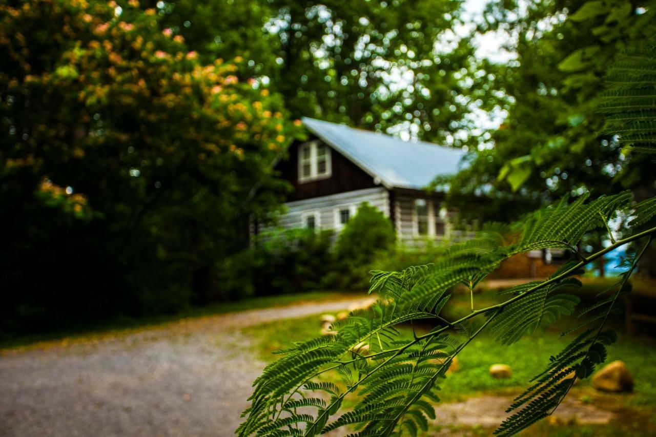 Nolichuckey Bluffs Bed & Breakfast Cabins グリーンビル  エクステリア 写真