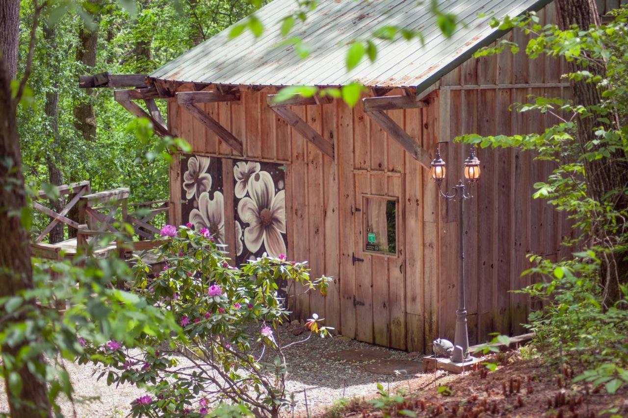 Nolichuckey Bluffs Bed & Breakfast Cabins グリーンビル  エクステリア 写真