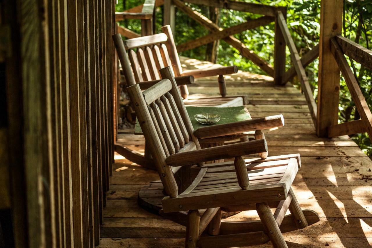 Nolichuckey Bluffs Bed & Breakfast Cabins グリーンビル  エクステリア 写真