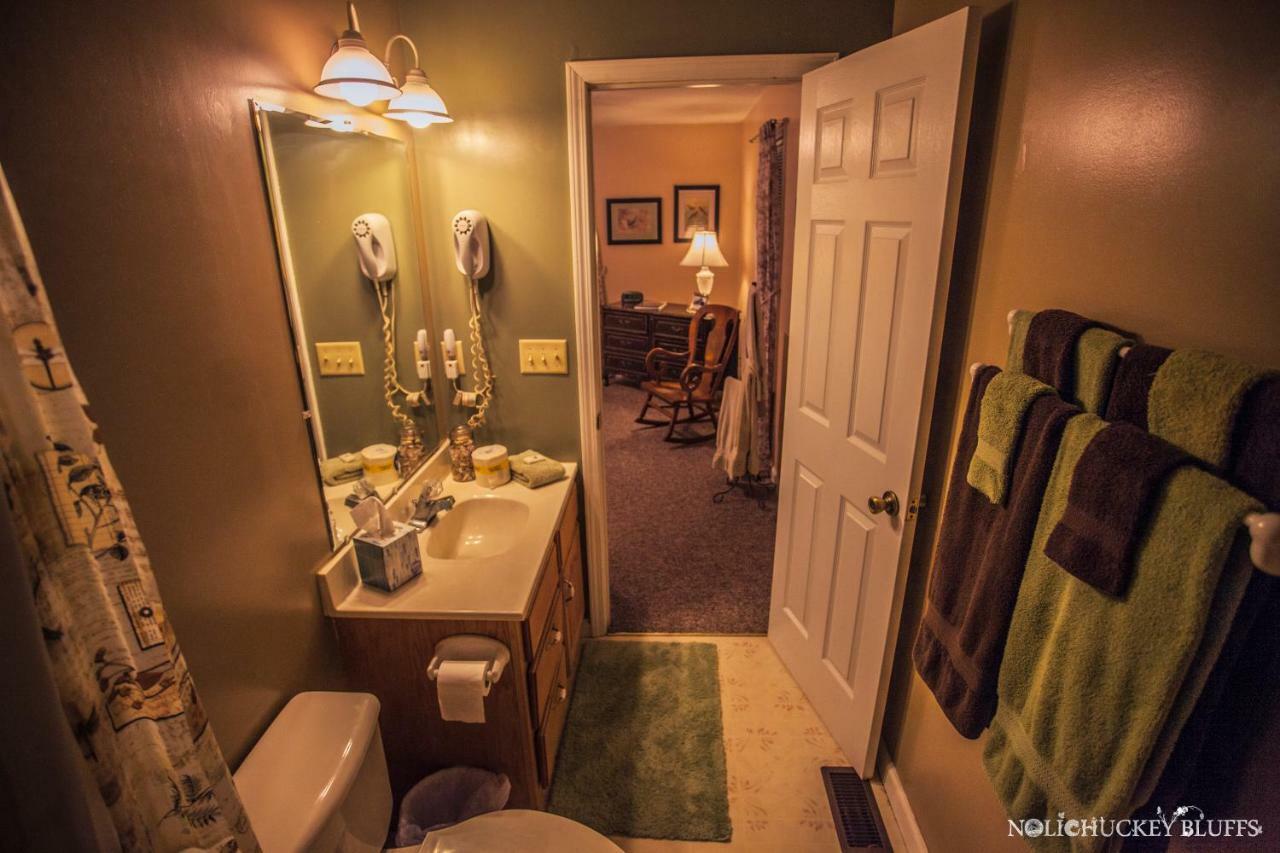 Nolichuckey Bluffs Bed & Breakfast Cabins グリーンビル  エクステリア 写真