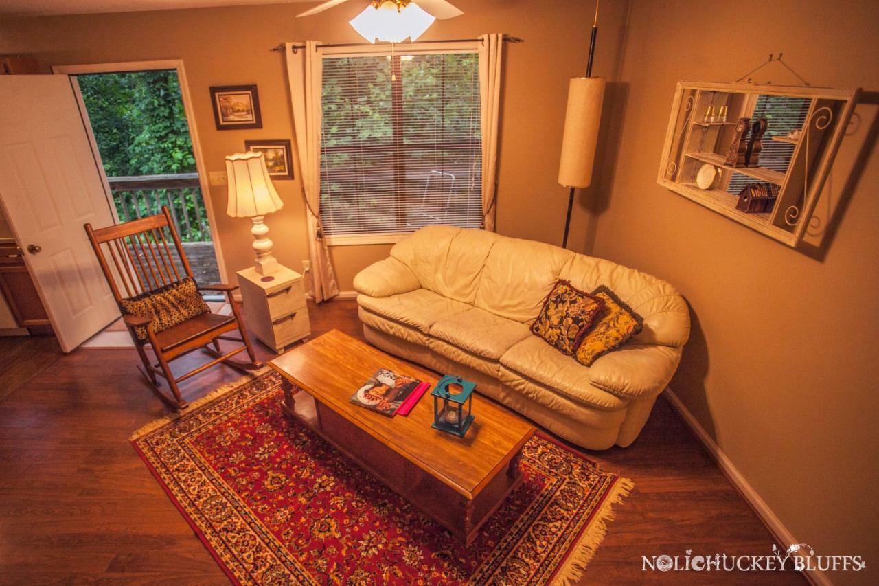 Nolichuckey Bluffs Bed & Breakfast Cabins グリーンビル  エクステリア 写真