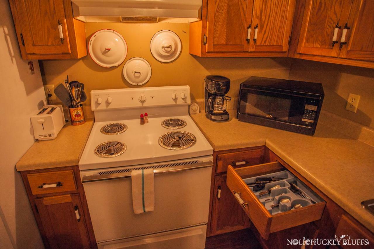 Nolichuckey Bluffs Bed & Breakfast Cabins グリーンビル  エクステリア 写真