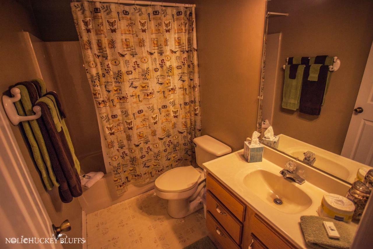 Nolichuckey Bluffs Bed & Breakfast Cabins グリーンビル  エクステリア 写真